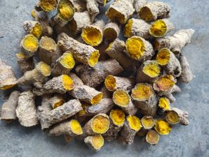 turmeric