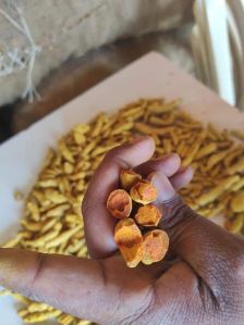 turmeric