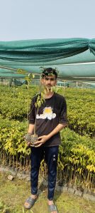 Agar Plant