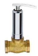 Crown Concealed Valve