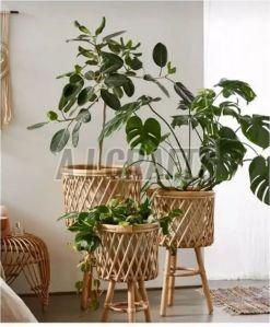 Charming Rattan Plant Stand