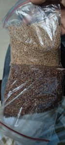Ragi Seeds