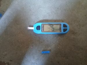 Glucose Monitor