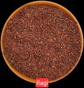 Ragi