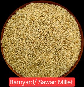 Unpolished Barnyard Millet