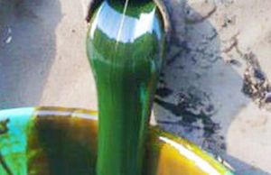 Rubber Processing Oil