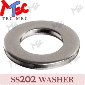 SS 202 Plain Washer