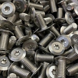 Low Profile Torx Screw