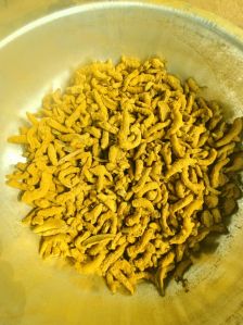Turmeric Finger