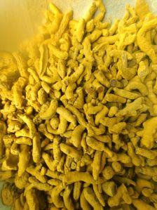 Turmeric Finger
