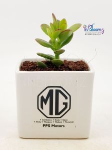 Branded Corporate Gifts