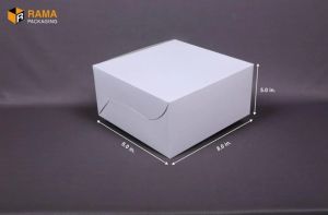 8x8x5 Inch Duplex Cake Box