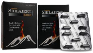 Shilajeet Gold Capsule