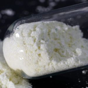 Lactic Acid Powder