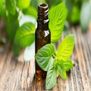 Tea Tree Oil