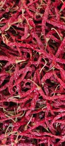 Dry Red Chilli