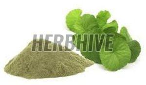Centella Asiatica Powder