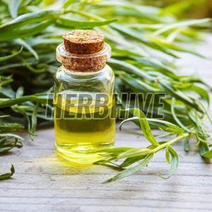 Tea Tree Oil