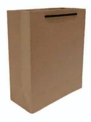 Plain Brown Kraft Paper Bag