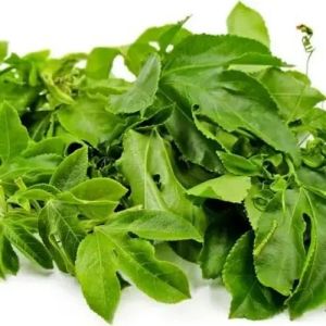 Fresh Passion Fruit Leaves