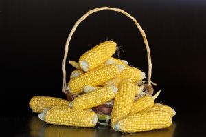 Makai Bhutta
