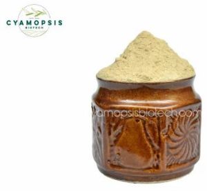 Anionic Guar Gum Powder