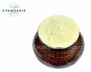 Cationic Guar Gum Powder