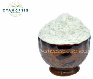 Industrial Grade Guar Gum Powders