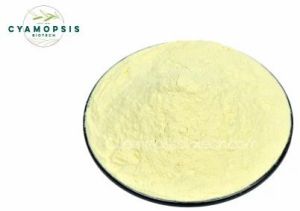 Textile Grade Guar Gum Formate Powder