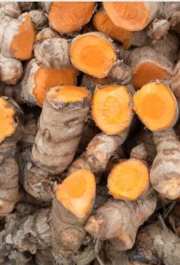 Organic Turmeric Finger