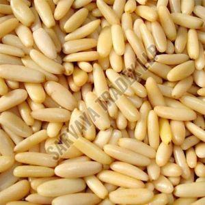 Pine Nuts