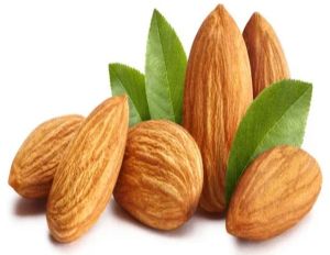 Almond Nuts