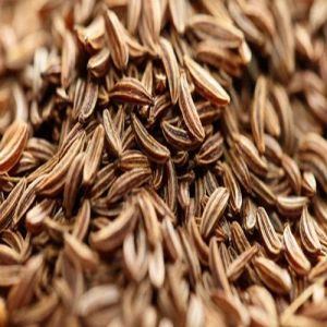 Cumin Seeds