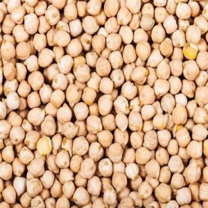 Kabuli Chana