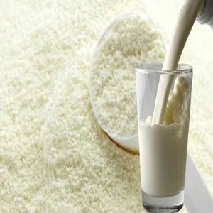 Milk Powder
