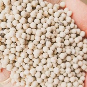 White Pepper Seeds
