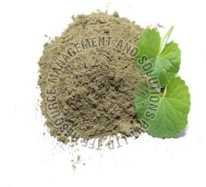 Centella Asiatica Powder
