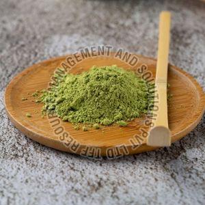 Green Tea Extract