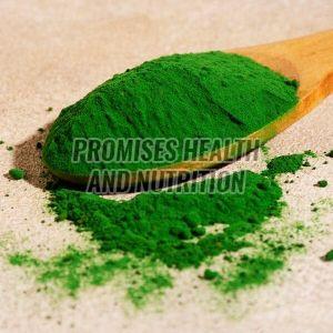 Green Tea Extract