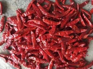 Dried Kashmiri Red Chilli