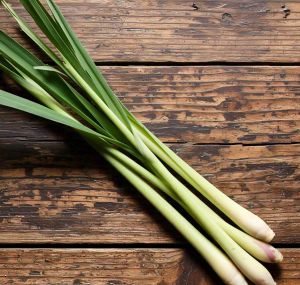 Fresh Lemongrass