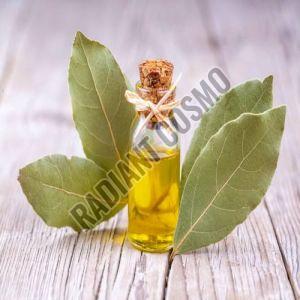 Bay Leaf Oil
