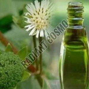 Bhringraj Oil