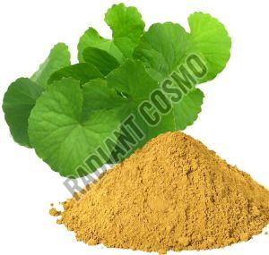 Brahmi Extract