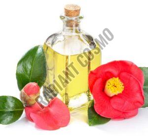 Camellia Oil