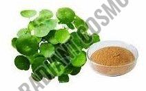 Centella Asiatica TECA