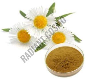 Chamomile Extract