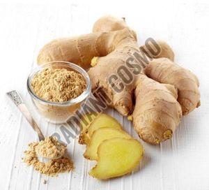 Ginger Extract