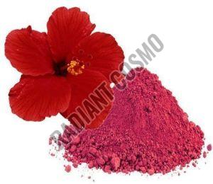 Hibiscus Extract