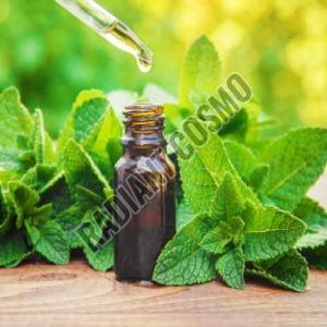Mint Oil